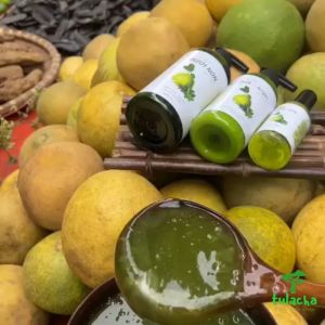 Dầu gội đầu bưởi non kích thích mọc tóc - Dầu xả vỏ bưởi dưỡng tóc sạch gầu chứa biotin ngăn rụng tóc - 500ml