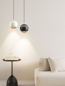 DENGGUANGYE | Modern Stylish Small Pendant Light