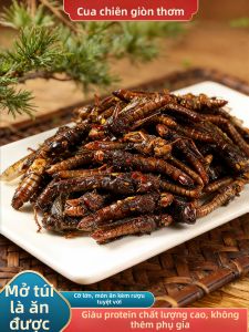 Ready-to-eat Crispy Five-spice Fried Locust & Pupa