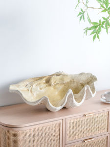 Modern American Home Decor Conch Shell Ornaments Living Room Display Cabinet Tray Storage Simple Style Animal Shape Creative Desktop Decorations