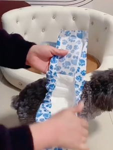 (JIJI.SG) DONOs Diary Disposable Diapers / Pee Pet / Pet Diapers / Pet Usage / SG