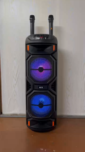 BIS-8829 Trolley Rechargeable Bluetooth Outdoor Boomboxes Wireless FM Audio Speaker Portable Radio With Microphone Speaker