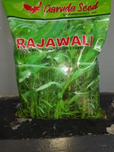 Benih bibit kangkung 1 KG RAJAWALI Berkualitas Prima Kemasan Pabrik Garuda Seed
