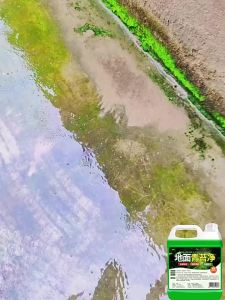Moss and Algae Remover for Cement Surfaces