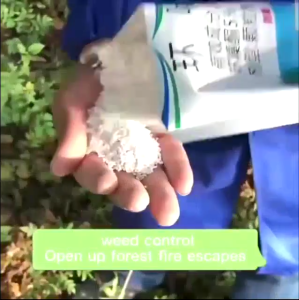 Herbisida yang berkesan Hexazinone 100% pembunuh pokok untuk penanaman akar Hexazinone Herbisida zarah pembunuh pokok Formula kepekatan pembunuh pokok 5% Hexazinone boleh membunuh pokok semak rumput dan cabang