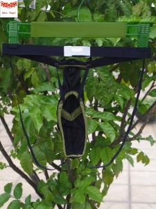 Kiss Tiger Transparent Mesh Jiji Set Mens Underwear Real Upward Not Falling U-Shaped Design Quick Dry mid Waist Sporty Style