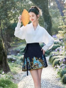Original High Waist Short Hanfu Skirt Black National Style Spring New Arrival Womens Traditional Chinese Clothing Half-length Skirt