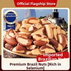 DOUQUCHI | Large Genuine Brazil Nut