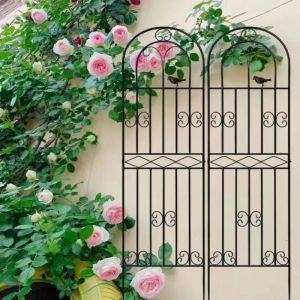 Sleek Outdoor Plant Rack