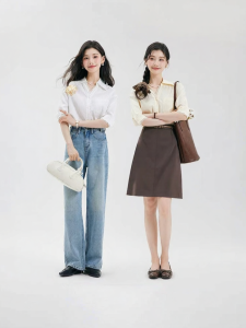 Lace V-Neck French Elegance Short Sleeve Blouse