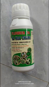 RA HOA CHANH-FLOWER 79-KÍCH VỌT HOA NHANH-ĐỒNG LOẠT-SÁNG HOA-MẬP HOA-DAI CUỐN-BÔNG KHỎE-1 CHAY 500ML PHA 400L NƯỚC