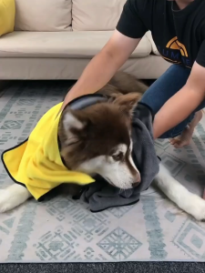 Pet Towel Bath Absorbent Towel Soft Lint-free Dogs Cats Bath Towels Absorbent Quick-drying Small ThickTowel Special Pet Products