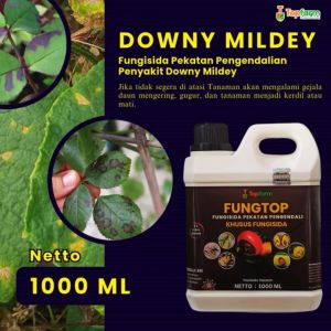 Obat Fungisida Topfarm: Solusi Jamur pada Tanaman Buah & Daun