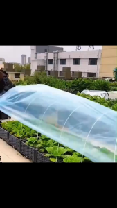 พลาสติกคลุมโรงเรือน พลาสติกคลุมโรง พลาสติกใสกันฝน พลาสติกPE (เกรด A) หนา 120/150/200 ไมครอน UV7% กันน้ำ กันฝุ่น เหมาะสำหรับงานกันซึมหลังคาเรือนกร พลาสติก คลุม โรงเรือน