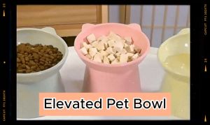 Elevated Polypropylene Pet Feeder Bowl for Dogs and Cats - 15° Angle Non-Skid Stand Stylish Design Buy 1 Get 1 Free