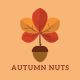 Autumn_Nuts