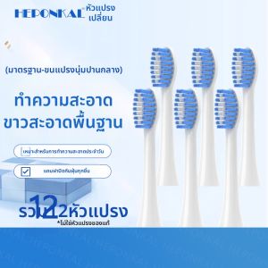 หัวแปรงสีฟันไฟฟ้าแบบอัลคาไลน์ ขนนุ่ม ดูแลช่องปาก หัวเปลี่ยน 12 ชิ้น สำหรับผู้ใหญ่ ผลิตจากวัสดุคุณภาพสูง