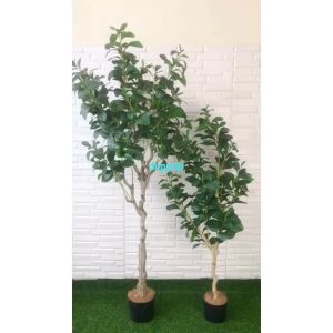 Tanaman Artificial Pohon Imitasi Kacang T130 & T170 Latex Pot Dasar Hitam Dekorasi Rumah Aesthetic