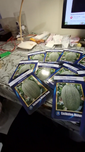 Benih melon the blues original F1 kemasan pabrik