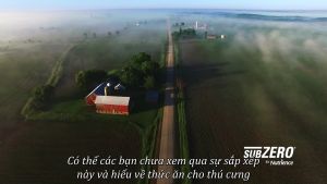 [BAO NGUYÊN SEAL 2.27kg] Thức ăn chó NUTRIENCE INFUSION