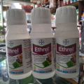 ETHREL 480 SL Pematang Buah dan Zat Pengatur Tumbuh 100ML. 