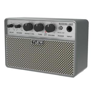 10W Acoustic Guitar Amp with Digital Delay/Reverb Effect Headphone Jack/OTG Wireles Small Guitars Amp for Recording Practice