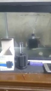 AA 933 AMARA Sponge Filter Busa Spon Mini Bio Foam Aquarium Aquascape