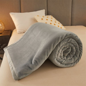 Winter Thick Coral Fleece Woolen Blanket Bed Sheet Single Bed Milk Flannel Blanket Single Student Dormitory Nap Blanket