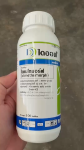 ไดออฟ 500 ซีซี ไดเมโทมอร์ฟ 50% SC ซินเจนทา เก่งราน้ำค้าง รากเน่าโคนเน่า ใบลาย ใบไหม้ ใบจุด สารดูดซึม สูตรครีม สูตรทนฝน พืชทุกชนิด 500 ราคา