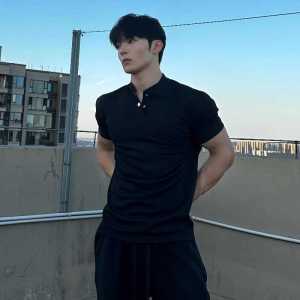 Summer Waffle Short Sleeve New Chinese Henry Collar Polo Shirt Large Lapel Cuff Sports Fitness Men T-shirt