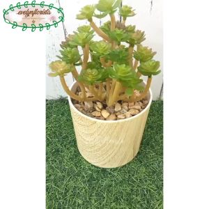 Tanaman Hias Mini Echeveria Sukulen Pot Melamine Motif Kayu Dekorasi Meja Kantor Aesthetic