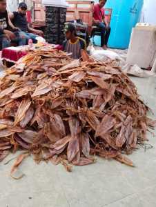 CUMI CUMI KERING /SOTONG JUMBO