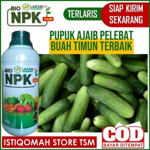 Pupuk Ajaib Pelebat Buah Timun Terbaik - Pupuk Pelebat Buah Timun Obat Semprot Pelebat Buah Timun Pupuk Pelebat Buah Mentimun Obat Pembesar Buah Timun Suri Pupuk Untuk Tanaman Timun Pelebat Buah Timun Pupuk Buah Super Lebat NPK LAKSA