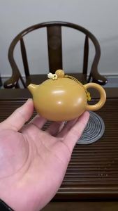 120ML Yixing Zhu Ni Teapot Handmade Small Kung Fu Tea Set Gift for Home Office Brewing Ceremony Collection