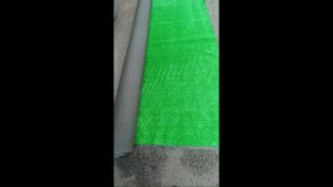 Thảm cỏ nhân tạo thảm lót sàn 1cm xanh non combo nhiều kích thước Cỏ nhân tạo giá rẻ cỏ nhựa trải sàn cỏ trang trí dán tường