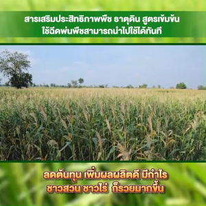 (พร้อมส่ง) ธาตุดิน ปรับสภาพดิน สารเพิ่มประสิทธิภาพพืช ชนิดน้ำ 2in1 เพิ่มธาตุอาหาร  ขนาด 500 มล. จำนวน 5 ขวด แถมฟรี ขนาด 1000 มล. จำนวน 1 ขวด