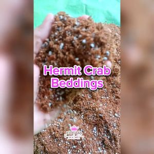 PuCoco Hermit Crab Beddings 1kg per PACK  Absorbent holds humidity well and provides a Natural Environment for the Crabs | ELISHA