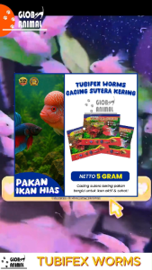 TUBIFEX WORMS 5 GRAM KYOTO CACING SUTERA KERING SUTRA BEKU PAKAN IKAN