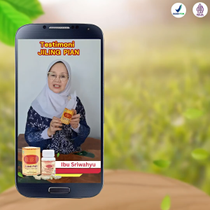 JI LING PIANG Asli Obat Herbal Cina Atasi Ginjal Batu Ginjal dan Terinfeksi Saluran Kemih Terbaik BPOM