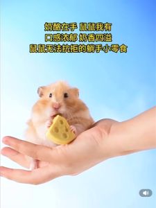 Bucatstate Cheese Freeze Dried Hamster Cheese Cube Snack Food Molar Dwarf Syrian / Makanan Keju Snek Hemster 布卡星小仓鼠零食冻干奶酪磨牙棒花枝金丝熊粮食增肥营养补钙用品