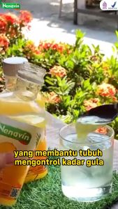 NENAVIN - Cuka Nanas Asli Original - Minuman Kesehatan - 300 ML - Solusi Gula Darah Tinggi