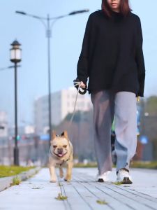 Pet Leash Dog Harness & Denim Leash for Small and Medium and Large Dogs Pet Adjustable Leash Belt Traction