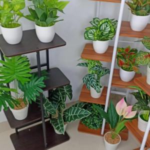 PBP09 Pot Bunga Plastik / Tanaman Keladi Palsu / Bunga Hias Dekorasi Rumah Import Murah Jakarta