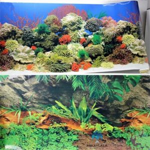 Background Tinggi 60 cm Aquarium Motif Bolak balik Random Real 3D Tanpa Putus Per Meter Wallpaper