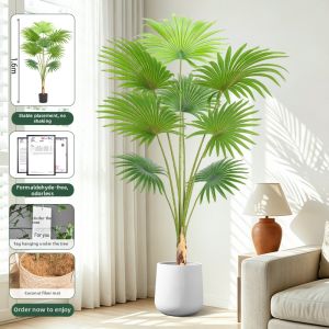 High-Quality Fan Palm Simulation
