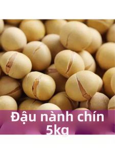 Đậu Nành Rang Muối Lớn