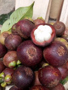 Buah manggis segar 1 kg langsung ambil di pohon.