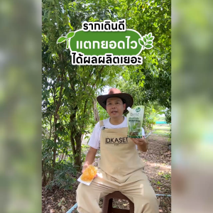 ไอดีเกษตร จุลินทรีย์อะมิโนสูตรพรีเมียมเข้มข้น ขนาด 100 ml.(Pack10)