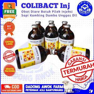COLIBACT injeksi 100 ml Obat DIARE BATUK PILEK Antibiotik SAPI KAMBING DOMBA BABI ANJING KUCING DLL