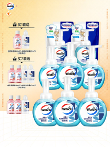 Walch | Antibacterial Easy-Rinse Gentle Foam Hand Wash 230ml